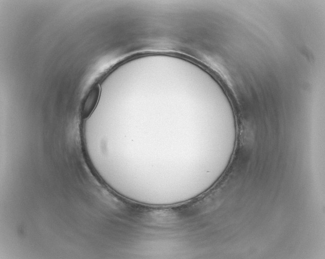 X0000115261464200911271916