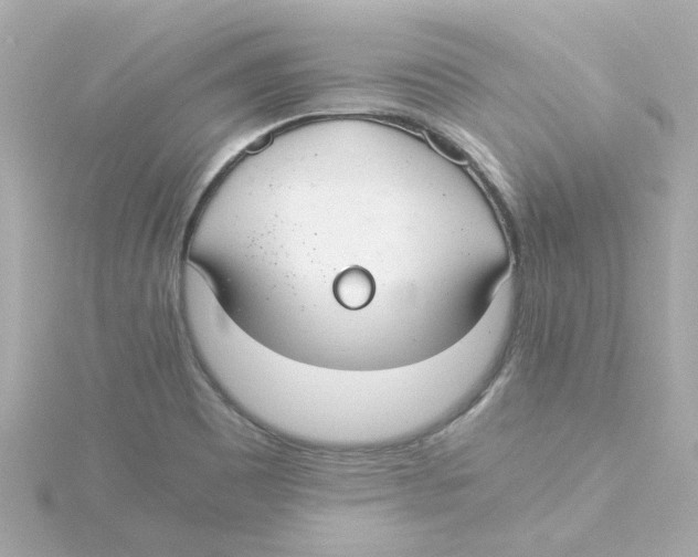 X0000115261465200911271916