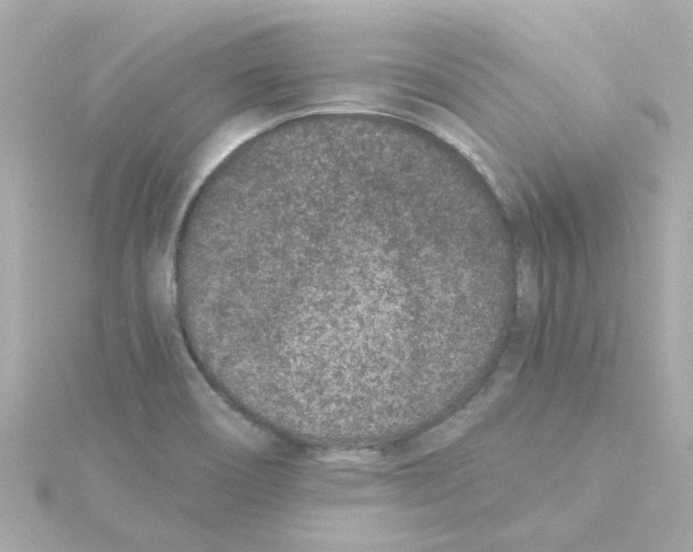 X0000115261466200911271916