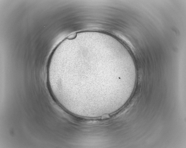 X0000115261467200911271916