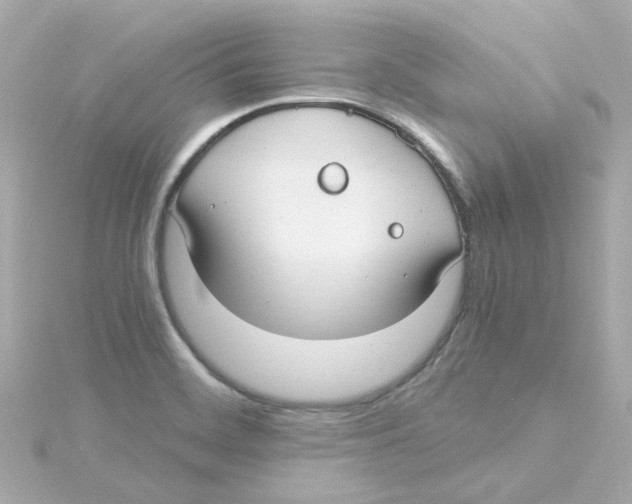 X0000115261468200911271916