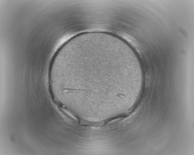 X0000115261469200911271916