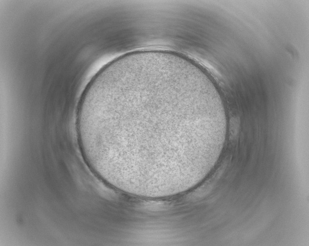 X0000115261470200911271916