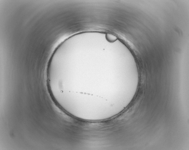 X0000115261471200911271915