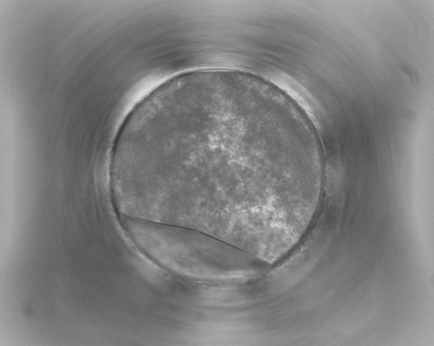 X0000115261477200911271915