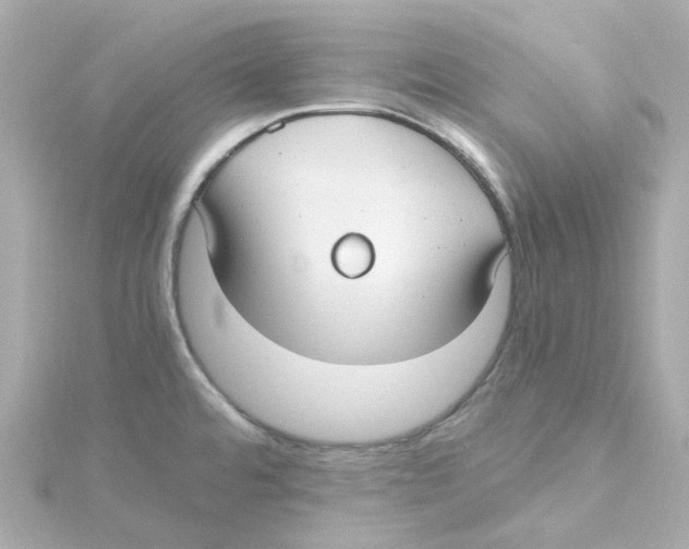 X0000115261480200911271915