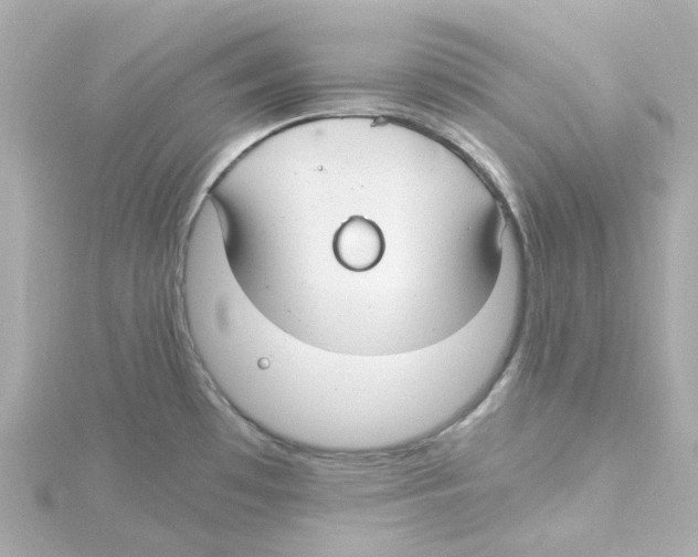 X0000115261481200911271915