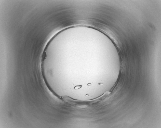 X0000115261484200911271915