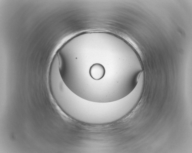 X0000115261485200911271915