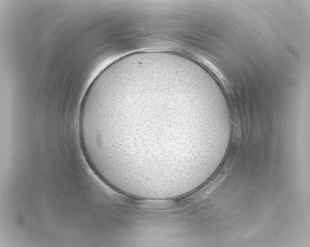 X0000115261487200911271915