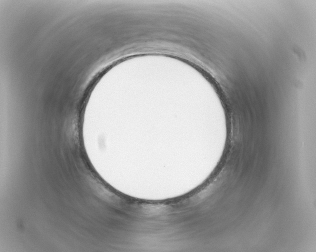 X0000115261498200911271915