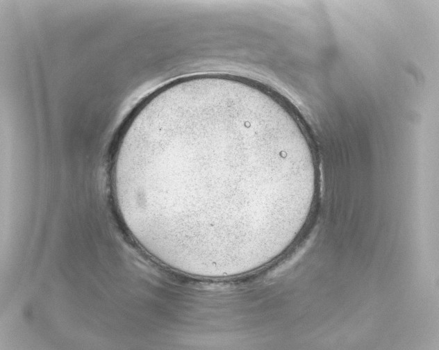 X0000115261501200911271915