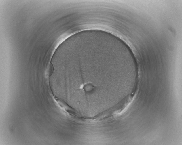 X0000115261529200911271915