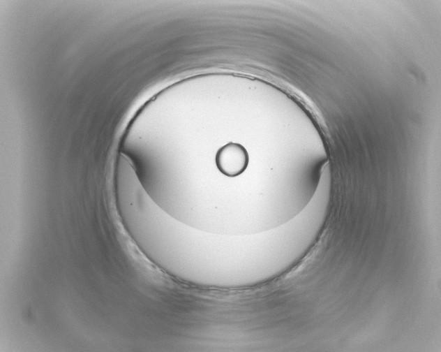 X0000115261530200911271915