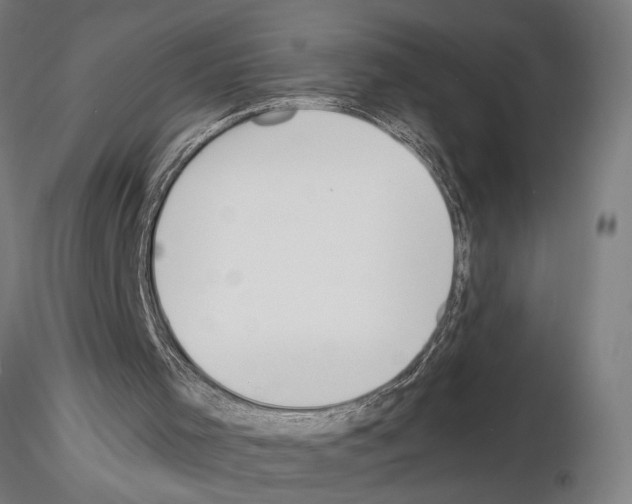 X0000115260001200912111151