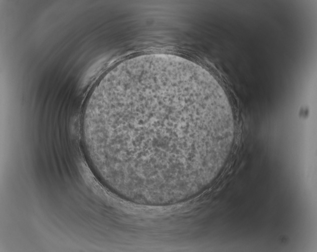 X0000115260002200912111151