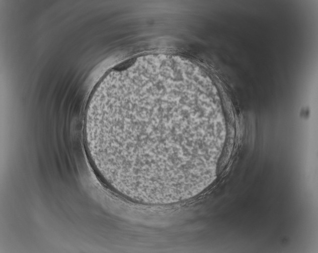 X0000115260003200912111151