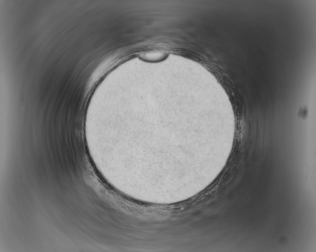 X0000115260004200912111151