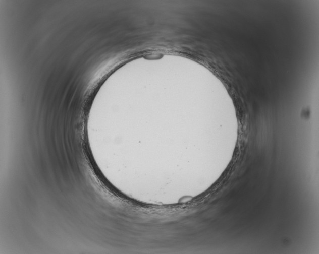 X0000115260005200912111151