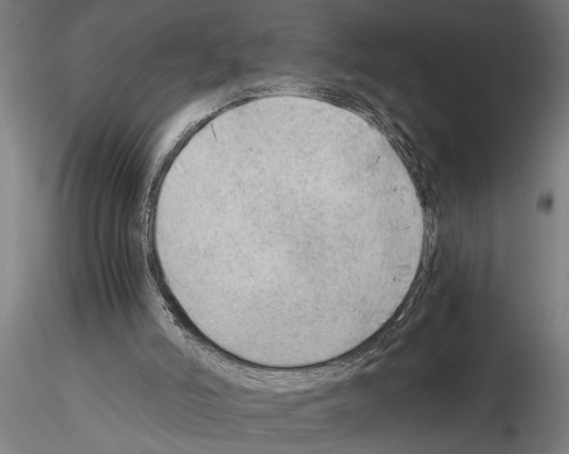 X0000115260006200912111151