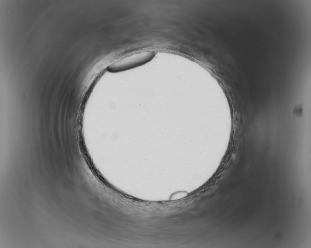 X0000115260007200912111150