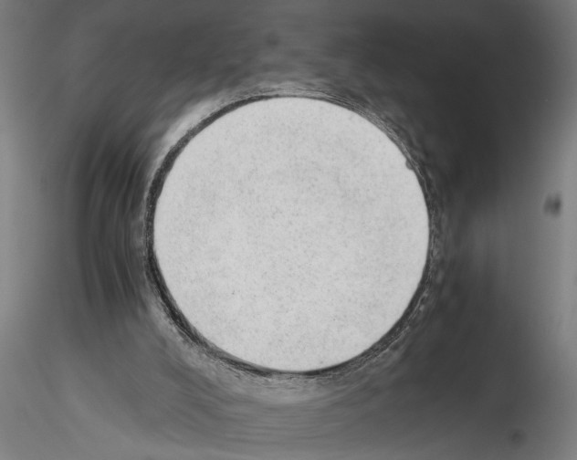 X0000115260008200912111150