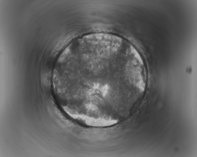 X0000115260009200912111150