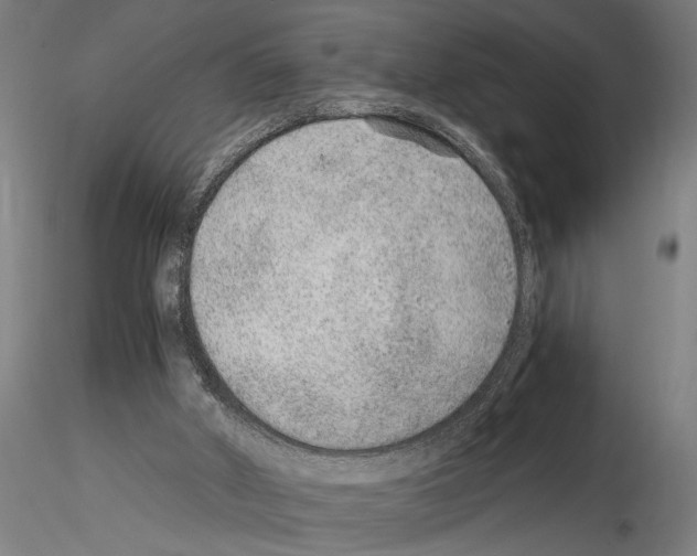 X0000115260010200912111150