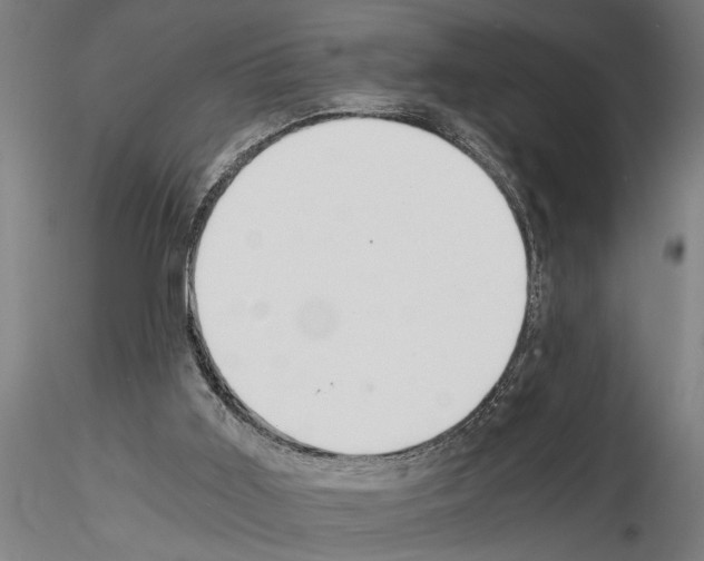 X0000115260011200912111150