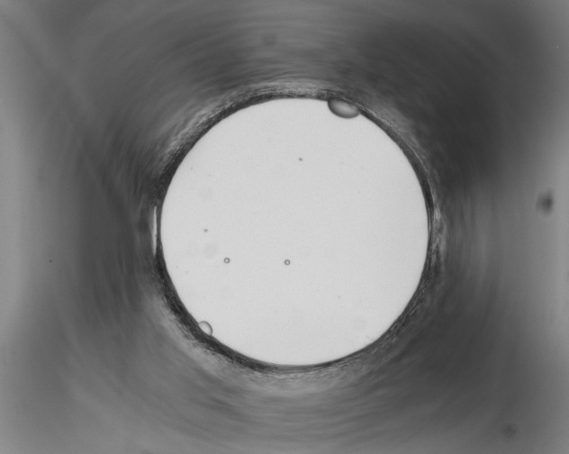 X0000115260013200912111150