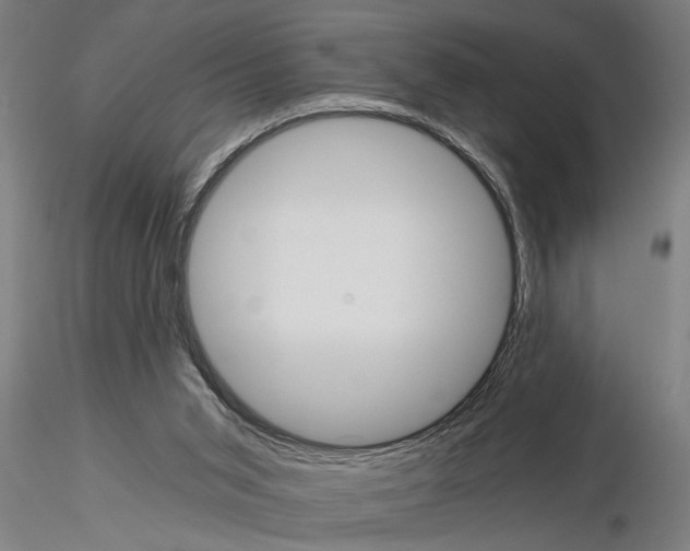 X0000115260015200912111150