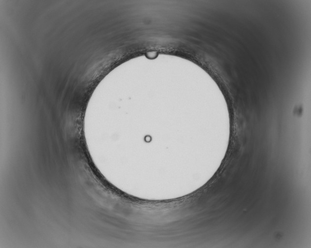 X0000115260017200912111150