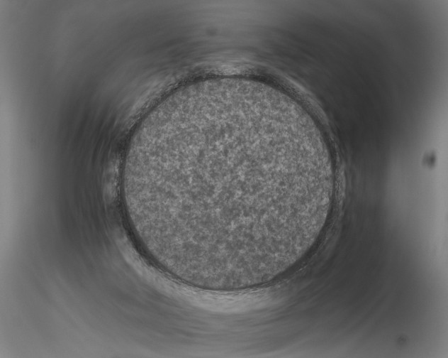 X0000115260018200912111150