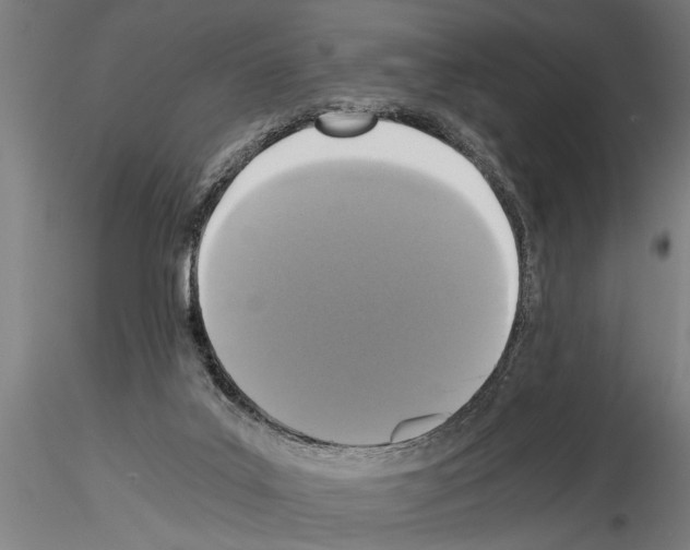 X0000115260019200912111150