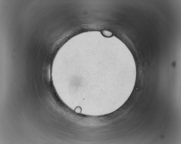 X0000115260020200912111150