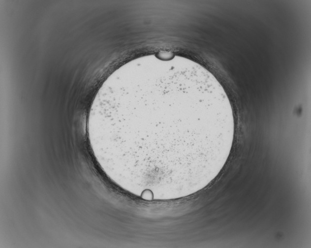 X0000115260021200912111150