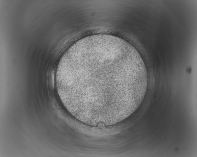 X0000115260022200912111150