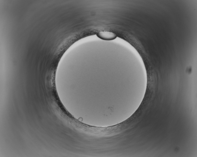 X0000115260023200912111150