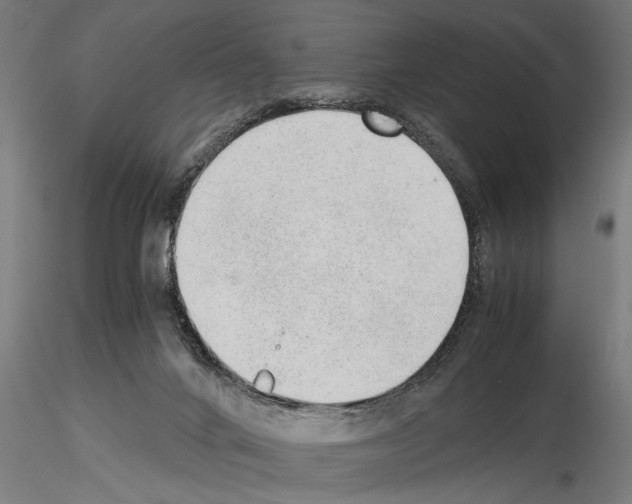 X0000115260024200912111150