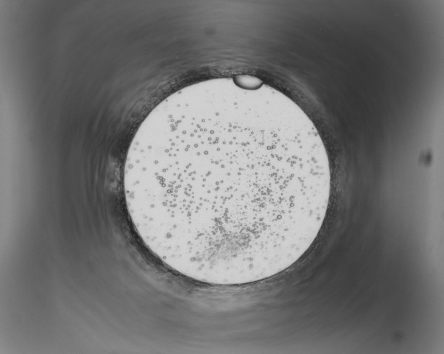 X0000115260025200912111150