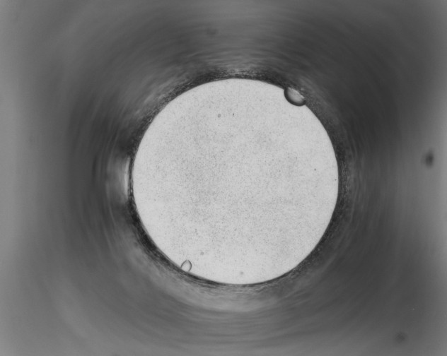 X0000115260028200912111150