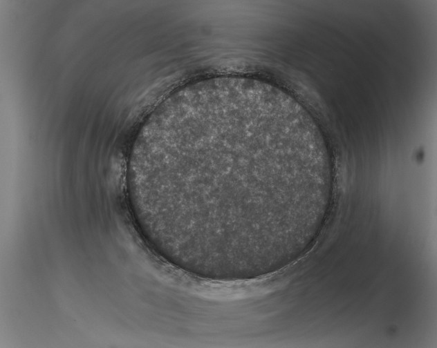 X0000115260029200912111150