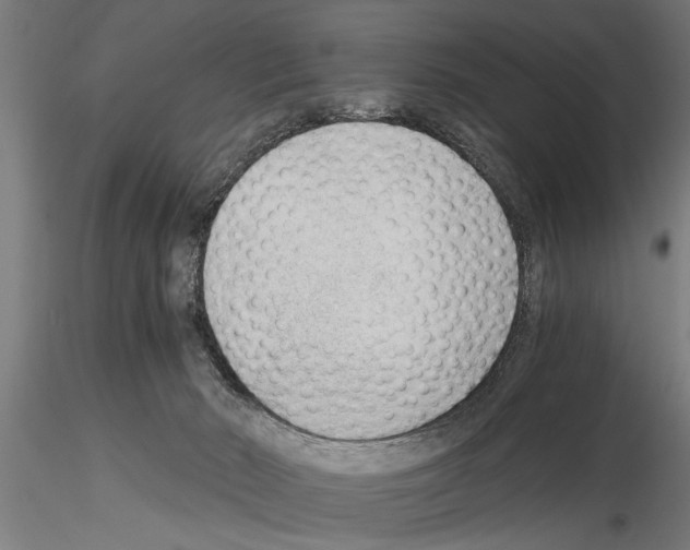 X0000115260030200912111150