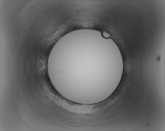 X0000115260032200912111150