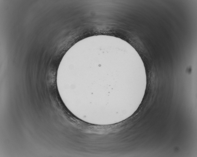 X0000115260033200912111150