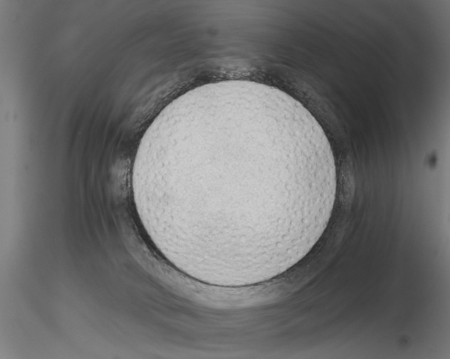 X0000115260034200912111150