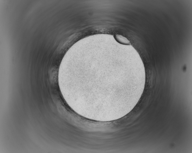 X0000115260036200912111150