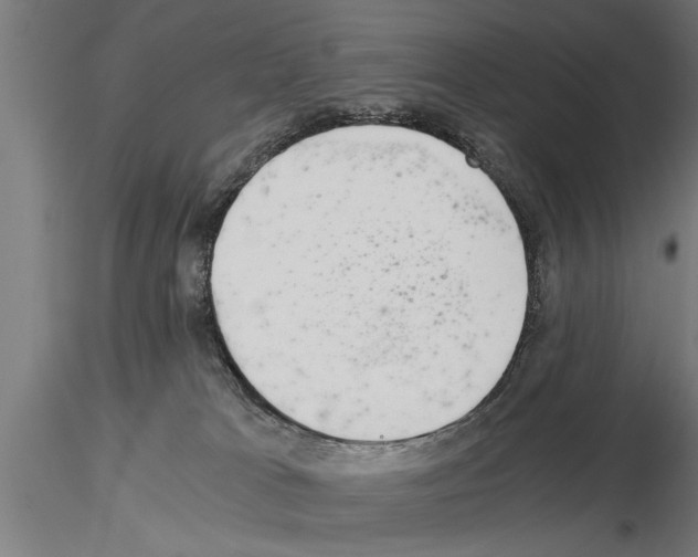 X0000115260037200912111150