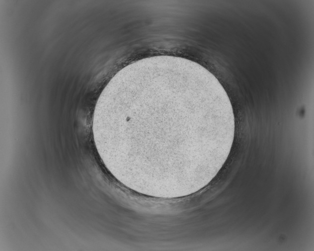 X0000115260040200912111150