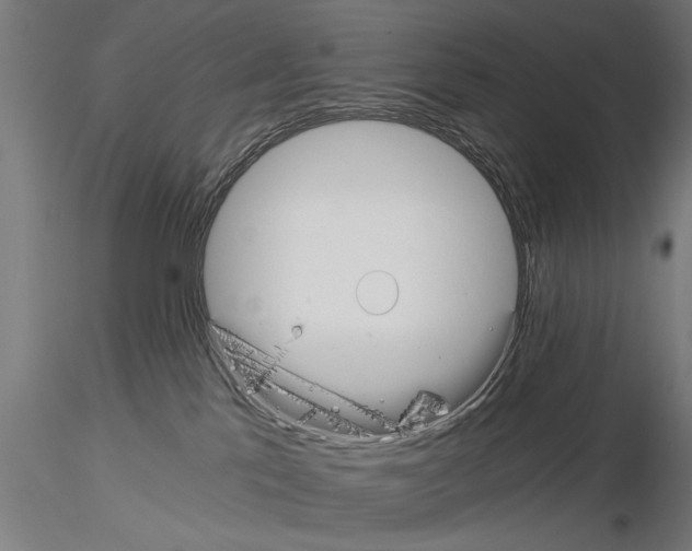 X0000115260041200912111150